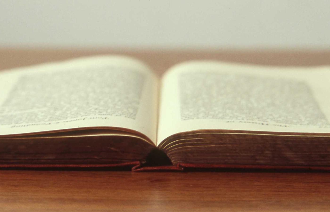 Analiza datelor pe ecran