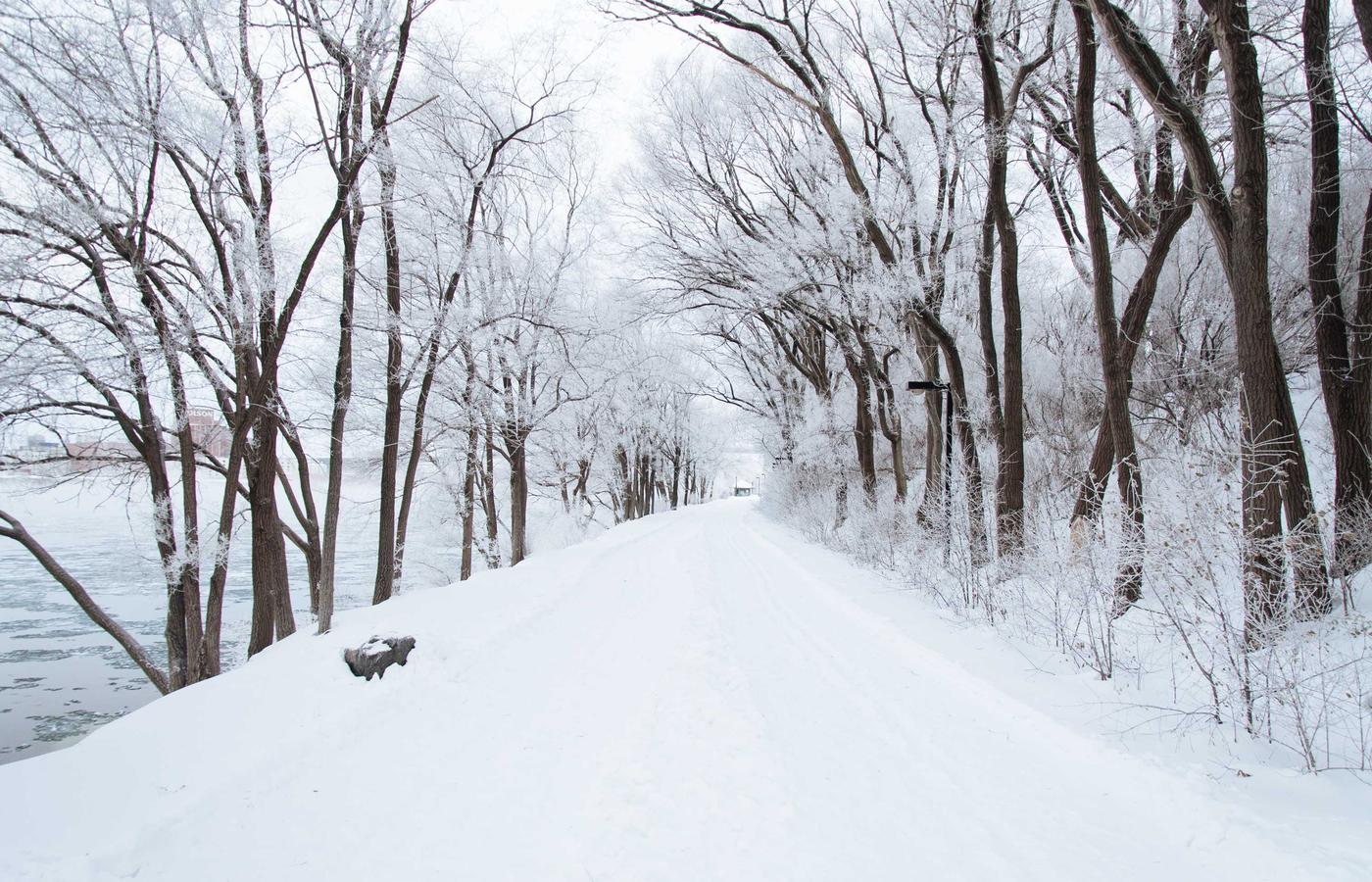 Realitate virtuală în clasă
