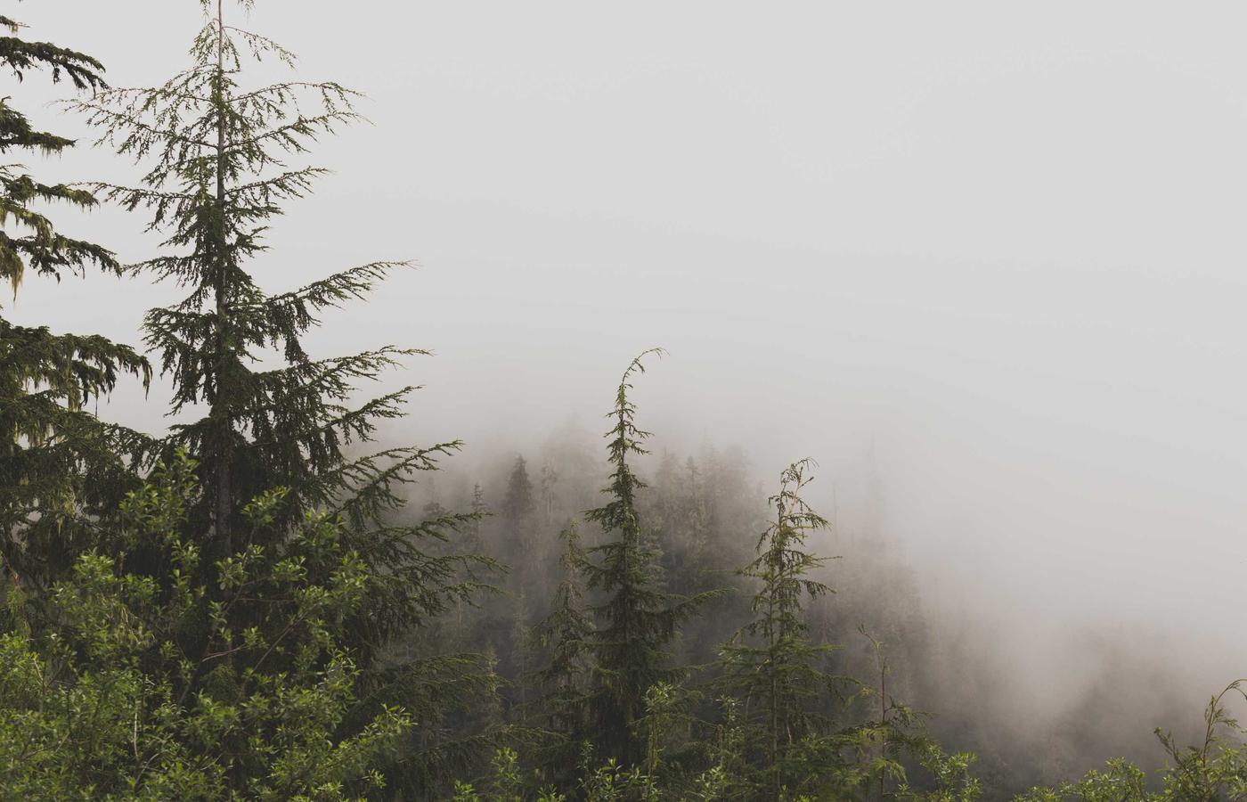 Colaborarea pe o platformă e-learning